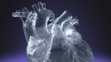 Зображення новини Більше прозорості для бізнесу — Єдиний державний реєстр знову на Порталі відкритих даних