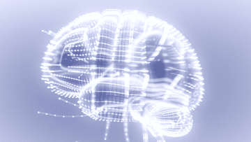 Зображення новини Шлях розвитку ШІ до 2030 року: знайомтеся з проєктом Стратегії та давайте фідбек