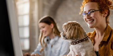 Як працює демократія: відбудеться онлайн-презентація освітнього курсу «Демократія через дії»