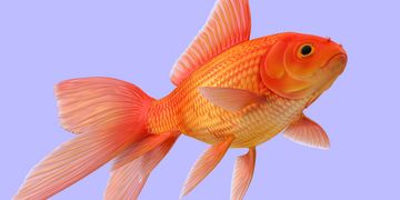 25 тисяч євро на розвиток бізнесу: українські компанії зможуть отримати гранти від EU4Business