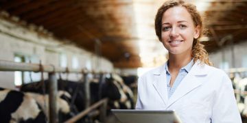 Зображення новини Державні послуги у сфері ветеринарії — на Гіді