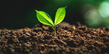 В Україні дослідили, як відкриття державних даних у сфері екології впливає на вирішення проблем із забрудненням довкілля