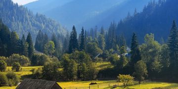 Мінцифра очікує восени бум підключень сіл до оптичного інтернету