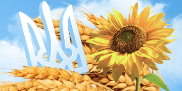 Три роки незламності, боротьби та єдності — як Мінцифра працює в умовах повномасштабної війни