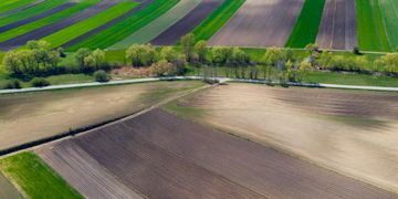 Які земельні сервіси доступні на Гіді з державних послуг?