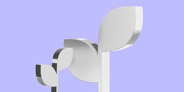 Жінки в бізнесі: запрошуємо переглянути фінал освітньо-грантової програми «Початок»