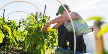 Нові робочі місця і розвиток економіки: українці подали майже 23 тисячі заявок за програмою єРобота