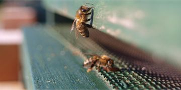 Система “Вулик" отримала Атестат відповідності комплексної системи захисту інформації