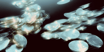 Зображення новини ₴34,6 млрд податків сплатили резиденти Дія.City за 2025 рік. Хто найбільше?