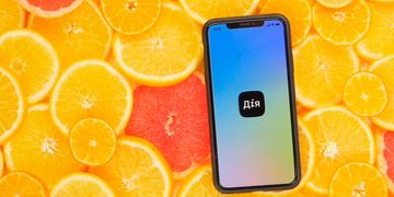 Мобільним застосунком Дія можна скористатися у магазинах Цитрус