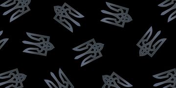 Аналітики з The Brookings Institution дослідили досвід цифровізації України