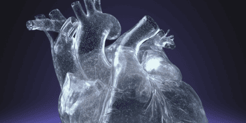 Зображення новини Більше прозорості для бізнесу — Єдиний державний реєстр знову на Порталі відкритих даних