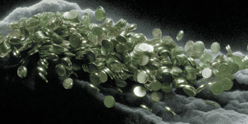 Резиденти Дія.Сіty заплатили ₴53+ млрд податків з 2022 року