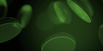 PlayCity запускає тендер на розробку Державної системи онлайн-моніторингу сфери азартних ігор