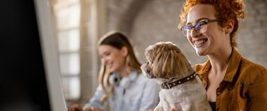 Зображення новини Як працює демократія: відбудеться онлайн-презентація освітнього курсу «Демократія через дії»