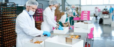 Зображення новини Послуги у сфері виробництва та зберігання продукції на Гіді