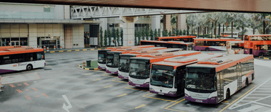 Зображення новини Прозора транспортна галузь: відкрито дані про ліцензії перевізників