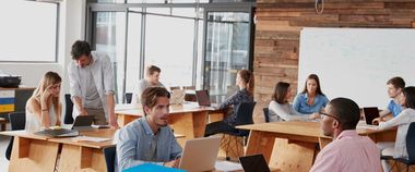 Зображення новини Спрощено кваліфікаційні вимоги до ІТ-спеціалістів у межах квот на імміграцію