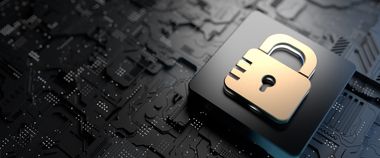 Зображення новини Перевірте свої кіберзнання: проходьте онлайн-симулятор на Дія.Освіта