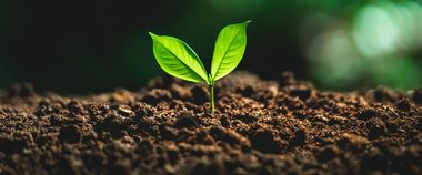 Зображення новини В Україні дослідили, як відкриття державних даних у сфері екології впливає на вирішення проблем із забрудненням довкілля