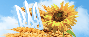 Три роки незламності, боротьби та єдності — як Мінцифра працює в умовах повномасштабної війни