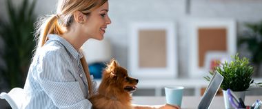 Зображення новини Долучайтеся до команди DAI Global: вакансії комунікаційного менеджера та дизайнера