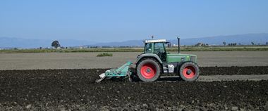 Зображення новини Державні послуги у сфері сільського господарства — на Гіді