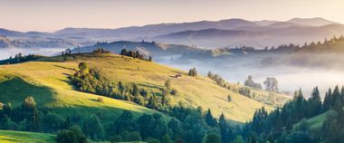 Зображення новини Про захист довкілля — інформація на Гіді з держпослуг