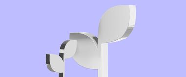 Зображення новини Жінки в бізнесі: запрошуємо переглянути фінал освітньо-грантової програми «Початок»