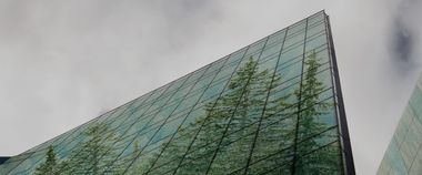 Зображення новини Запускаємо ЕкоСистему — вся екологічна інформація та послуги в один клік