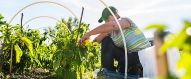 Зображення новини Нові робочі місця і розвиток економіки: українці подали майже 23 тисячі заявок за програмою єРобота