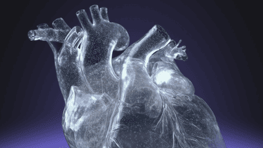 Зображення новини Більше прозорості для бізнесу — Єдиний державний реєстр знову на Порталі відкритих даних