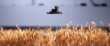 Зображення новини Підтримуємо український експорт: запустили інформаційну кампанію щодо Каталога українських експортерів