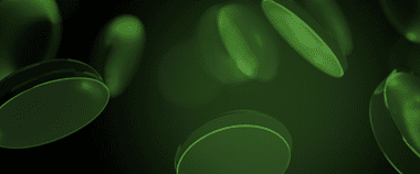 Зображення новини PlayCity запускає тендер на розробку Державної системи онлайн-моніторингу сфери азартних ігор