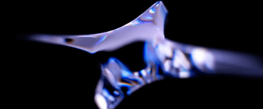 Зображення новини 8 команд перемогли в міжнародному CTF-змаганні, половина з них — українські